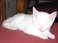 20100206 449.JPG